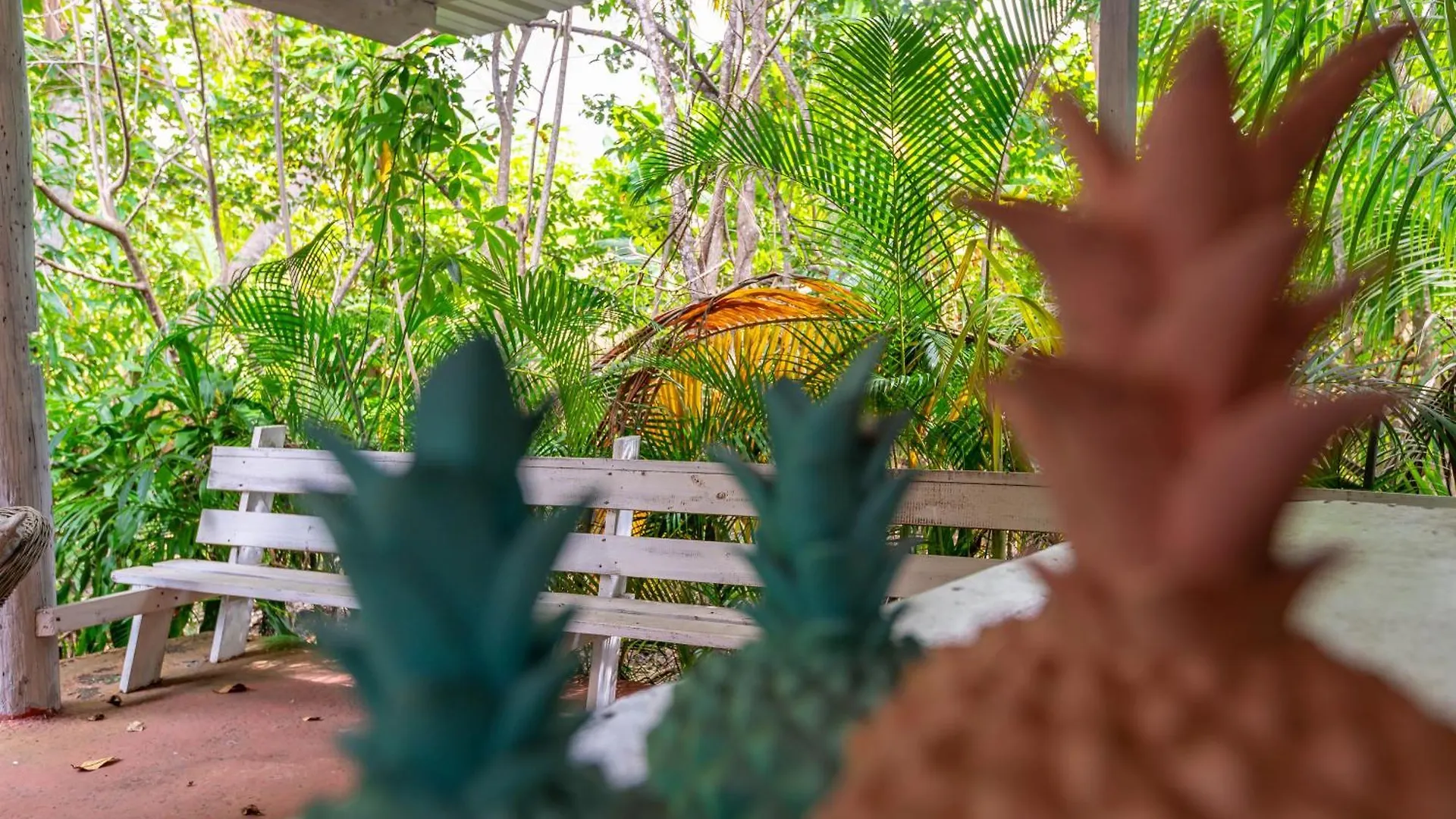 Apartment Casa Pina Suave #2 Jungle Seclusion Close To Ocean Rincon Puerto Rico