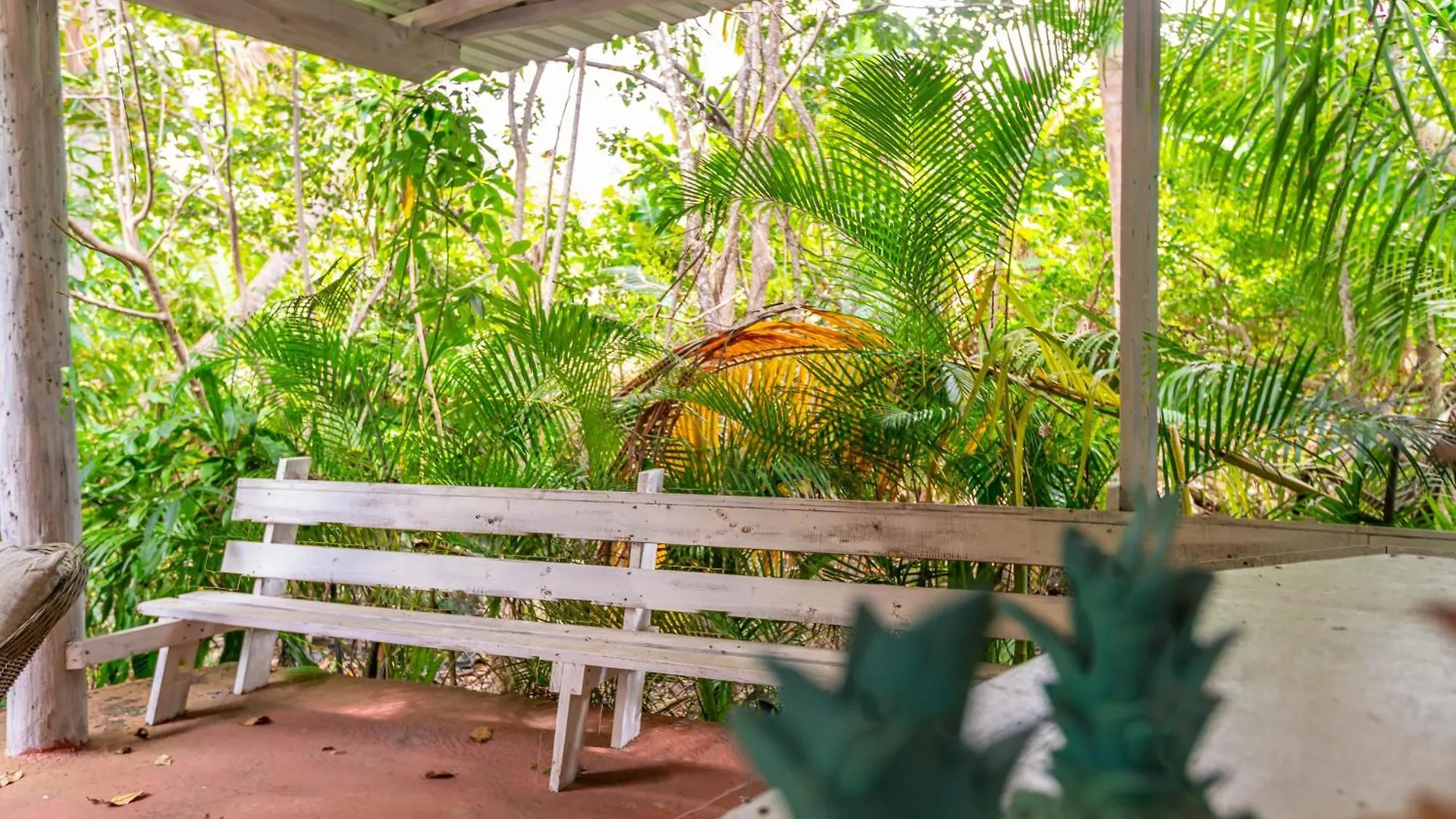 Casa Pina Suave #2 Jungle Seclusion Close To Ocean Rincon